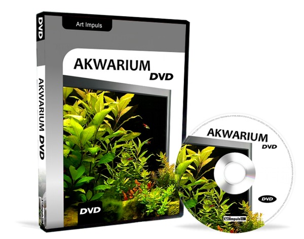 Akwarium DVD