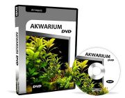Akwarium_DVD_produkt.jpg